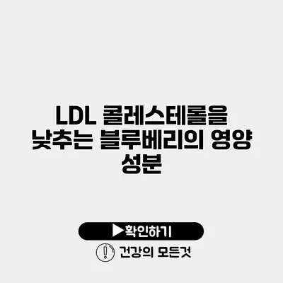 LDL 콜레스테롤을 낮추는 블루베리의 영양 성분