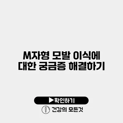 M자형 모발 이식에 대한 궁금증 해결하기