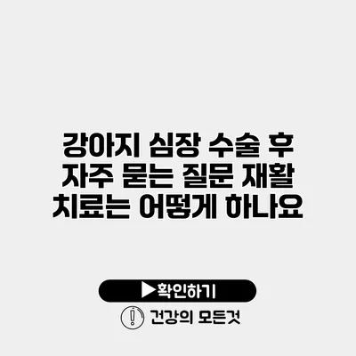 강아지 심장 수술 후 자주 묻는 질문 재활 치료는 어떻게 하나요?
