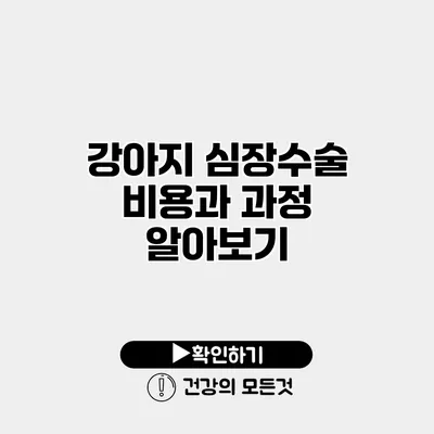 강아지 심장수술 비용과 과정 알아보기