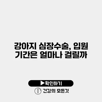 강아지 심장수술, 입원 기간은 얼마나 걸릴까?