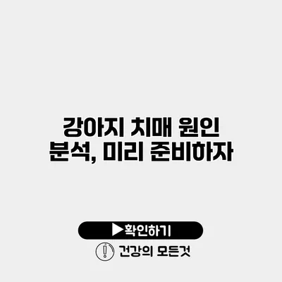 강아지 치매 원인 분석, 미리 준비하자