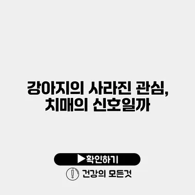 강아지의 사라진 관심, 치매의 신호일까?