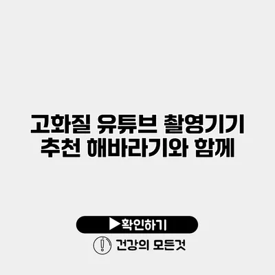 고화질 유튜브 촬영기기 추천 해바라기와 함께