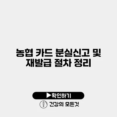 농협 카드 분실신고 및 재발급 절차 정리