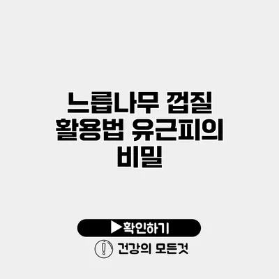 느릅나무 껍질 활용법 유근피의 비밀