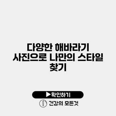 다양한 해바라기 사진으로 나만의 스타일 찾기