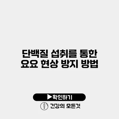 단백질 섭취를 통한 요요 현상 방지 방법