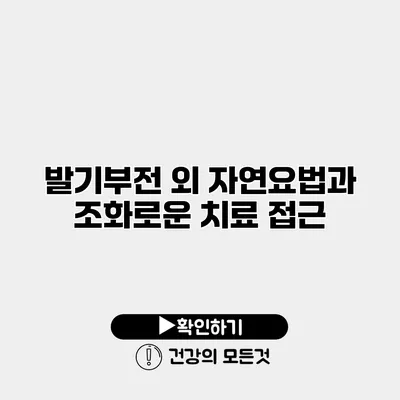 발기부전 외 자연요법과 조화로운 치료 접근