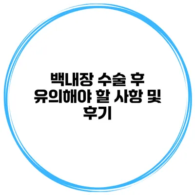 백내장 수술 후 유의해야 할 사항 및 후기