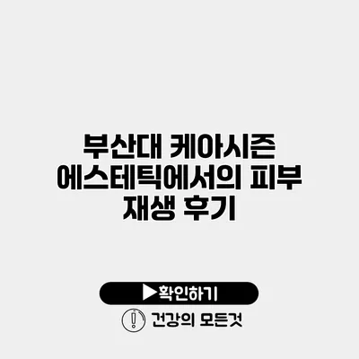 부산대 케아시즌 에스테틱에서의 피부 재생 후기
