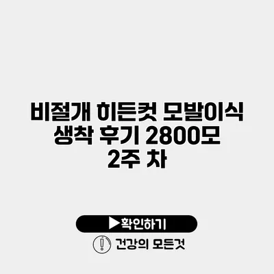 비절개 히든컷 모발이식 생착 후기 2800모 2주 차