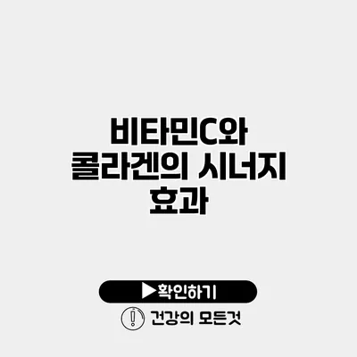 비타민C와 콜라겐의 시너지 효과