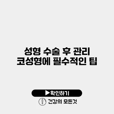 성형 수술 후 관리 코성형에 필수적인 팁