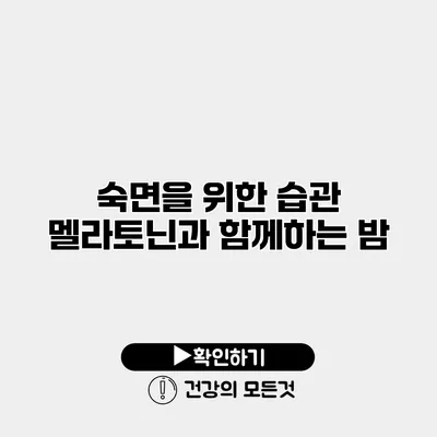 숙면을 위한 습관 멜라토닌과 함께하는 밤