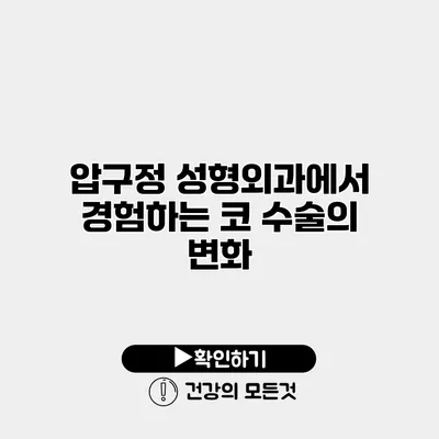 압구정 성형외과에서 경험하는 코 수술의 변화