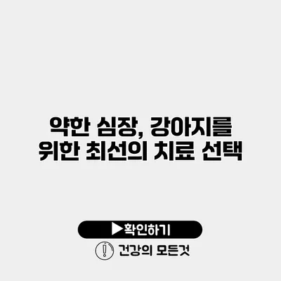 약한 심장, 강아지를 위한 최선의 치료 선택