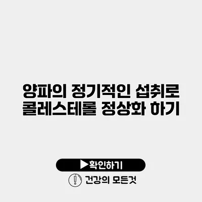 양파의 정기적인 섭취로 콜레스테롤 정상화 하기