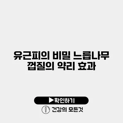 유근피의 비밀 느릅나무 껍질의 약리 효과