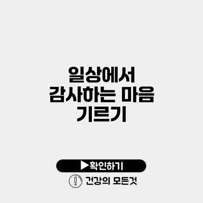 일상에서 감사하는 마음 기르기