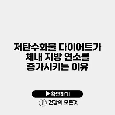 저탄수화물 다이어트가 체내 지방 연소를 증가시키는 이유