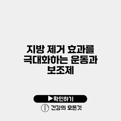 지방 제거 효과를 극대화하는 운동과 보조제