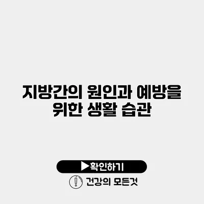 지방간의 원인과 예방을 위한 생활 습관