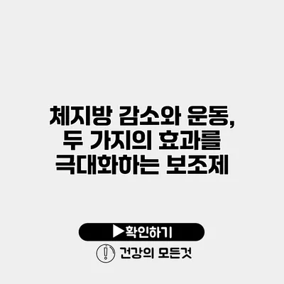 체지방 감소와 운동, 두 가지의 효과를 극대화하는 보조제