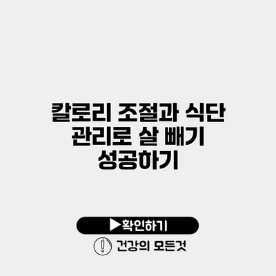 칼로리 조절과 식단 관리로 살 빼기 성공하기