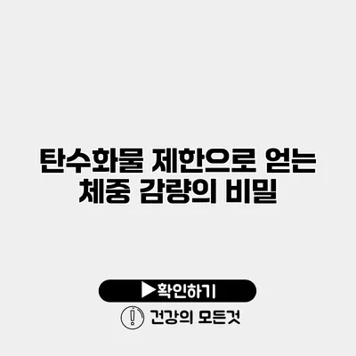 탄수화물 제한으로 얻는 체중 감량의 비밀