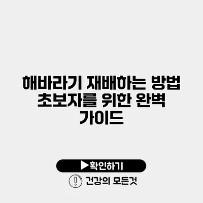 해바라기 재배하는 방법 초보자를 위한 완벽 가이드