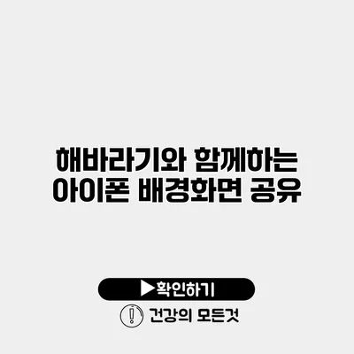 해바라기와 함께하는 아이폰 배경화면 공유