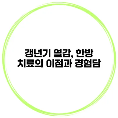 갱년기 열감, 한방 치료의 이점과 경험담