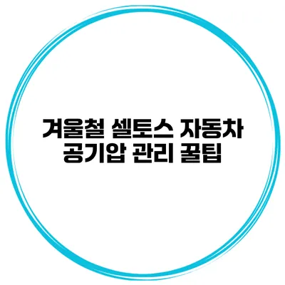 겨울철 셀토스 자동차 공기압 관리 꿀팁