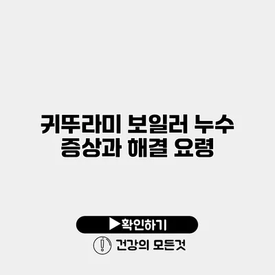 귀뚜라미 보일러 누수 증상과 해결 요령