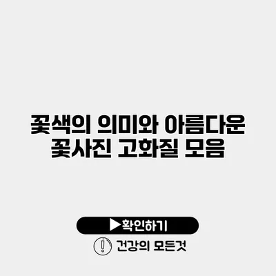 꽃색의 의미와 아름다운 꽃사진 고화질 모음