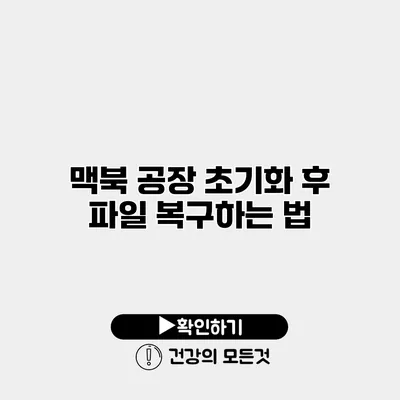 맥북 공장 초기화 후 파일 복구하는 법