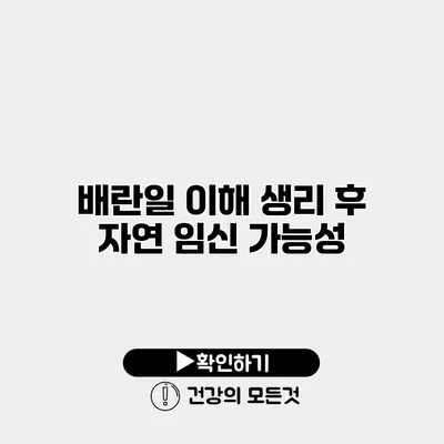 배란일 이해 생리 후 자연 임신 가능성
