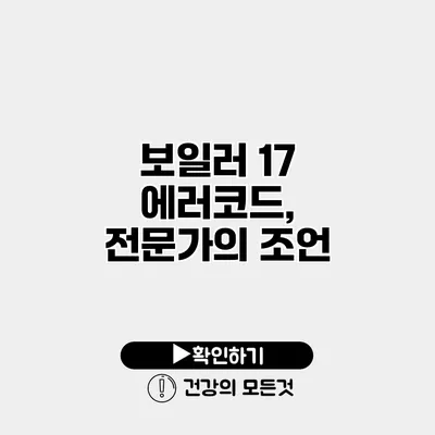 보일러 17 에러코드, 전문가의 조언