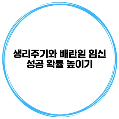 생리주기와 배란일 임신 성공 확률 높이기