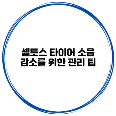 셀토스 타이어 소음 감소를 위한 관리 팁