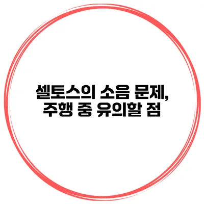 셀토스의 소음 문제, 주행 중 유의할 점