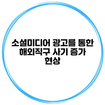 소셜미디어 광고를 통한 해외직구 사기 증가 현상