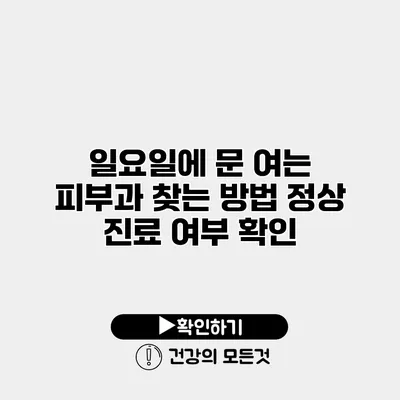 일요일에 문 여는 피부과 찾는 방법 정상 진료 여부 확인
