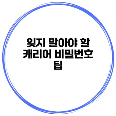 잊지 말아야 할 캐리어 비밀번호 팁