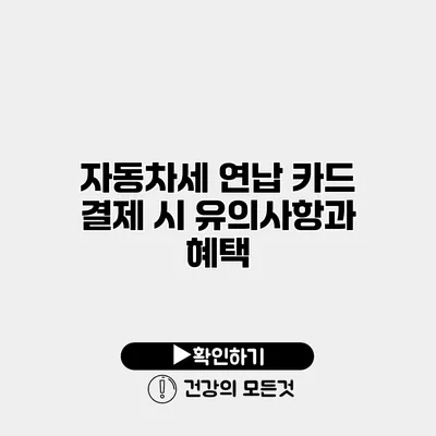 자동차세 연납 카드 결제 시 유의사항과 혜택
