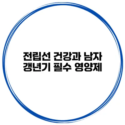 전립선 건강과 남자 갱년기: 필수 영양제