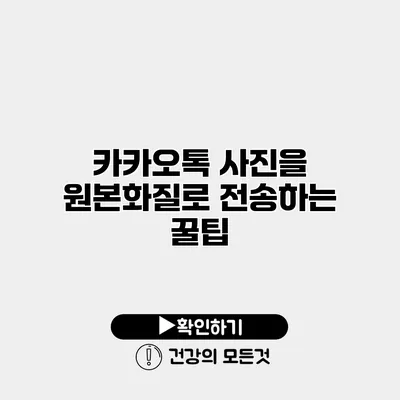 카카오톡 사진을 원본화질로 전송하는 꿀팁