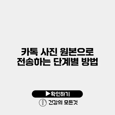 카톡 사진 원본으로 전송하는 단계별 방법