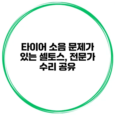 타이어 소음 문제가 있는 셀토스, 전문가 수리 공유